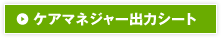 ケアマネジャー用出力シート